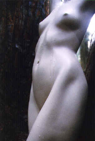 Bridgit Among the Giants,  Arcata Community Forest, 1999 copyright Pam Mendelsohn