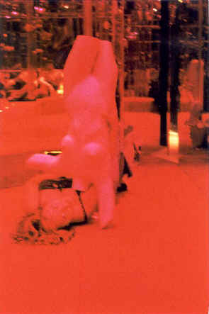 copyright Pam Mendelsohn