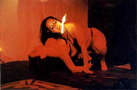 copyright Pam Mendelsohn