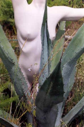 copyright Pam Mendelsohn