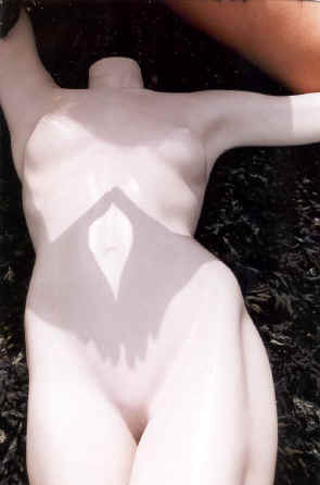 copyright Pam Mendelsohn