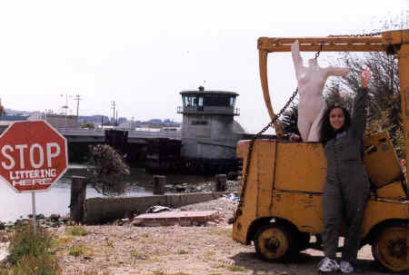 copyright Pam Mendelsohn