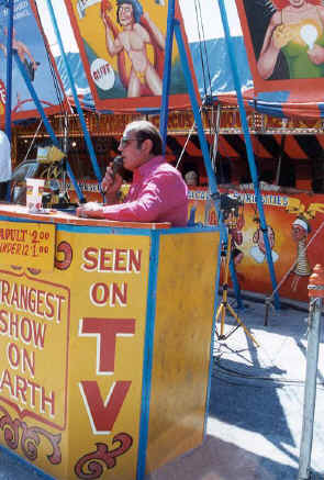 copyright Pam Mendelsohn