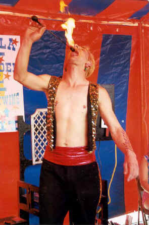 copyright Pam Mendelsohn