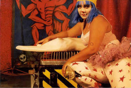 copyright Pam Mendelsohn