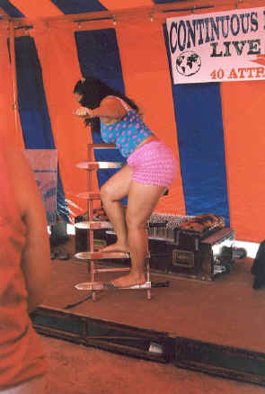 copyright Pam Mendelsohn