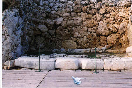  Bridgit after taking flight at Ggantija, Gozo, 1999 copyright Pam Mendelsohn