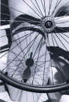 Spokes     Copyright 1999, Pam Mendelsohn